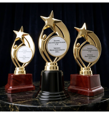 Наградная фигура- кубок со звездой с именной гравировкой