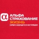 Обложка для паспорта с логотипом 