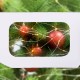Купить Новогодние 3D очки «Снежинки», голубые с нанесением логотипа
