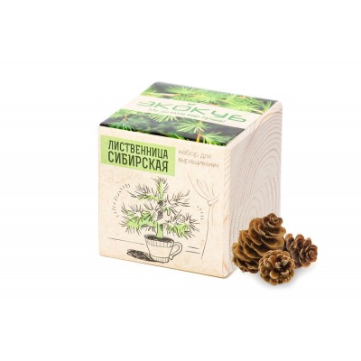 Купить Набор для выращивания «Экокуб», лиственница сибирская с нанесением логотипа