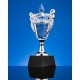Купить Кубок Victorious с нанесением логотипа