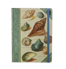 Книга для записей Shells