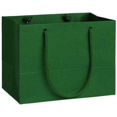 Купить Пакет Ample XS, зеленый с нанесением логотипа