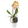 Купить Горшок для орхидеи с функцией самополива Orchid Pot, большой, белый с нанесением логотипа