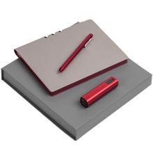 Набор Flexpen Energy, серебристо-красный