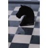 Купить Флешка «Ход конем», черная, 8 Гб с нанесением логотипа