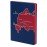 Ежедневник «Футбольная карта России»