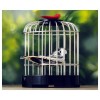 Купить Музыкальный заварочный набор «Певчая птичка» с нанесением логотипа