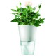 Купить Горшок для растений Flowerpot, фарфоровый, голубой с нанесением логотипа