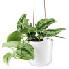 Купить Горшок для растений Flowerpot, подвесной, белый с нанесением логотипа
