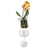 Купить Горшок для орхидеи с функцией самополива Orchid Pot, большой, белый с нанесением логотипа