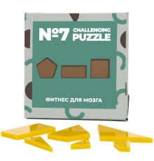 Головоломка Challenging Puzzle Acrylic, модель 7