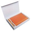 Купить Коробка Silk под ежедневник и ручку, серебристая с нанесением логотипа
