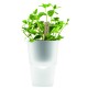 Купить Горшок для растений Flowerpot, фарфоровый, белый с нанесением логотипа