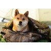 Купить Надувной коврик Static V Realtree Camo, камуфляж с нанесением логотипа