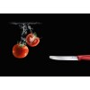 Купить Нож для овощей Victorinox Swiss Classic, черный с нанесением логотипа