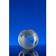 Купить Награда Globe с нанесением логотипа