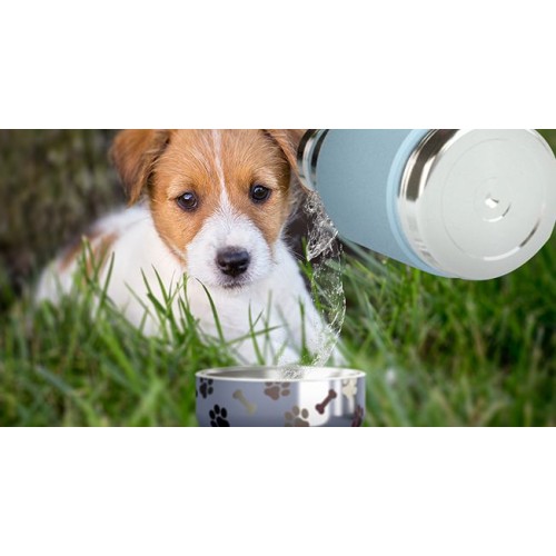 Купить Термос Dog Bowl с миской для питомца, голубой с нанесением логотипа