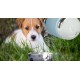 Купить Термос Dog Bowl с миской для питомца, голубой с нанесением логотипа