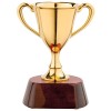 Купить Награда «Кубок» с нанесением логотипа