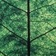 Купить Внешний аккумулятор Evergreen, 10000 мAч с нанесением логотипа