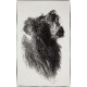 Купить Плед Like a Lion с нанесением логотипа