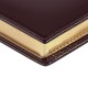 Купить Ежедневник LUXE REPTAIL, недатированный, коричневый с нанесением логотипа