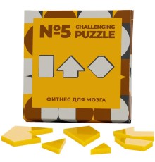 Головоломка Challenging Puzzle Acrylic, модель 5
