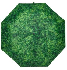 Зонт складной Evergreen