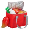 Купить Сумка холодильник Vardo, красная с нанесением логотипа