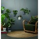 Купить Горшок для растений Flowerpot, подвесной, серый с нанесением логотипа