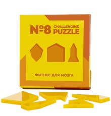 Головоломка Challenging Puzzle Acrylic, модель 8