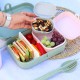 Купить Ланчбокс Pascal Mini Organic, синий с нанесением логотипа