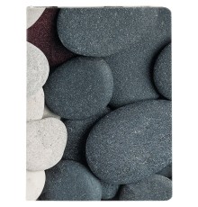 Ежедневник Pebble