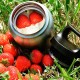 Купить Термос для еды Hot & Cold Food Jar 500, стальной с нанесением логотипа