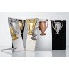 Купить Награда Triumph Bronze с нанесением логотипа