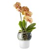 Купить Горшок для орхидеи с функцией самополива Orchid Pot, малый, белый с нанесением логотипа