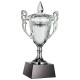 Купить Кубок Victorious с нанесением логотипа