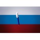 Купить Ручка шариковая Prodir DS3 TPP Flag с нанесением логотипа