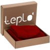 Купить Коробка Teplo, малая, крафт с нанесением логотипа