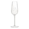 Купить Набор бокалов для шампанского Stipple с нанесением логотипа