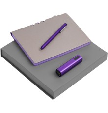 Набор Flexpen Energy, серебристо-фиолетовый