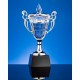 Купить Кубок Victorious с нанесением логотипа