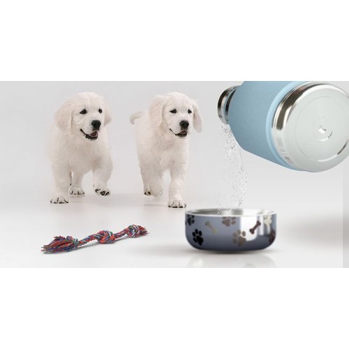 Купить Термос Dog Bowl с миской для питомца, голубой с нанесением логотипа
