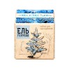 Купить Набор для выращивания «Экокуб», ель голубая с нанесением логотипа