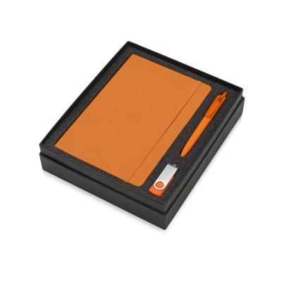 Купить Подарочный набор Vision Pro Plus soft-touch с флешкой, ручкой и блокнотом А5, оранжевый с нанесением