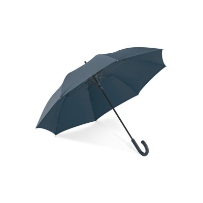 Купить ALBERT. Зонт с автоматическим открытием, Синий с нанесением логотипа