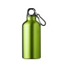 Купить Бутылка для воды с карабином Oregon, объемом 400 мл, зеленое яблоко с нанесением логотипа