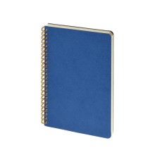 Бизнес тетрадь на гребне А5 Pragmatic, 60 листов в клетку, синий