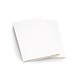 Купить Записная книжка Moleskine Volant (в линейку, 2 шт.), Large (13х21см), белый с нанесением логотипа